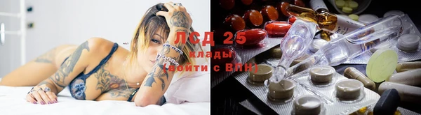 сатива Алексеевка
